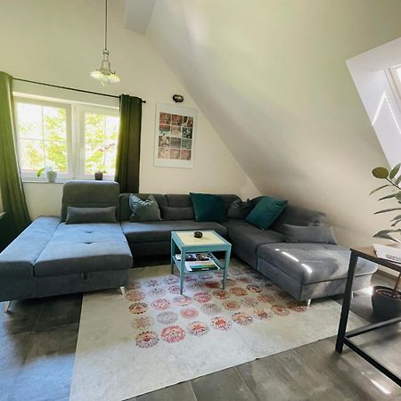 Nicehead Spacious Nest Between Maribor And Celje Loce pri Poljcanah المظهر الخارجي الصورة