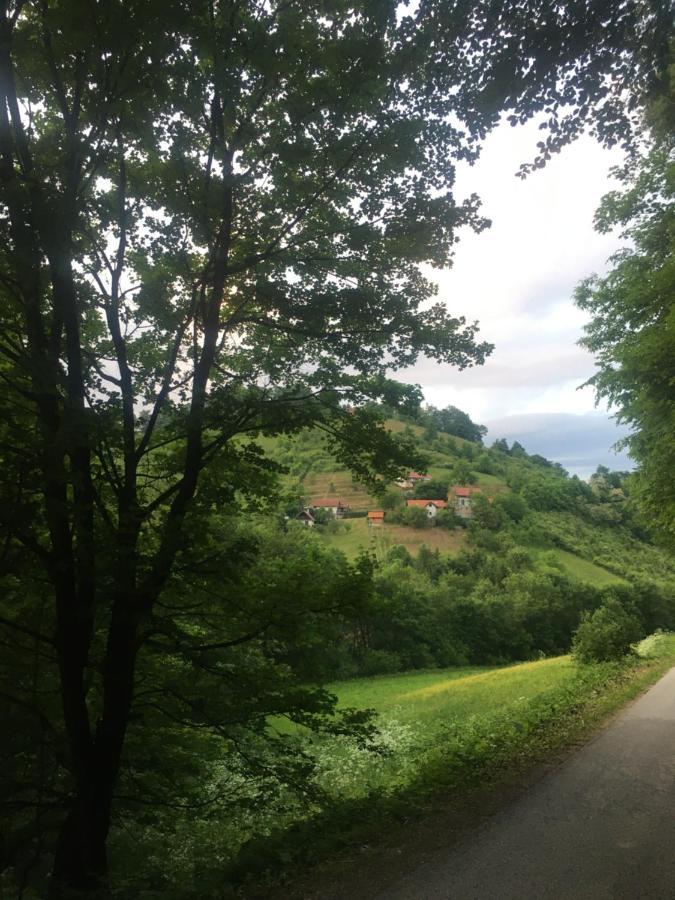 Nicehead Spacious Nest Between Maribor And Celje Loce pri Poljcanah المظهر الخارجي الصورة