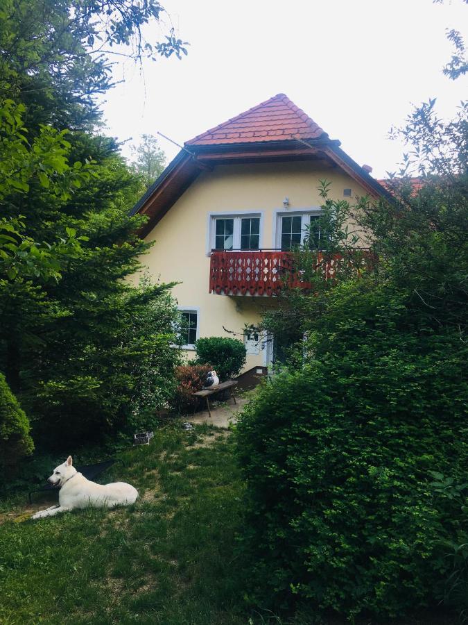 Nicehead Spacious Nest Between Maribor And Celje Loce pri Poljcanah المظهر الخارجي الصورة