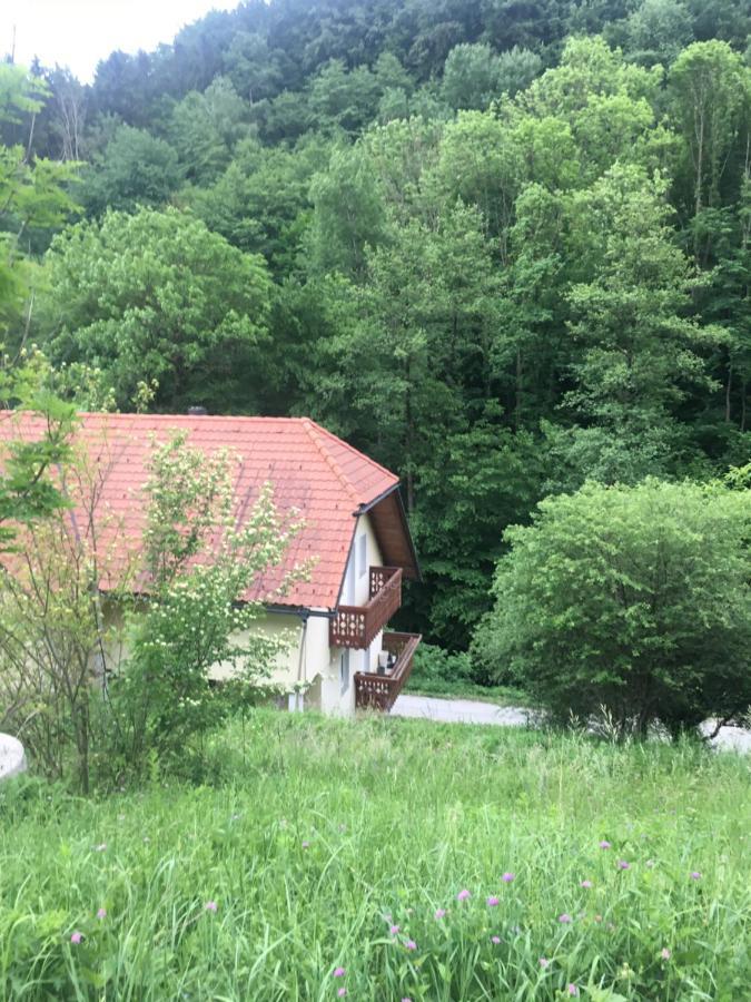 Nicehead Spacious Nest Between Maribor And Celje Loce pri Poljcanah المظهر الخارجي الصورة