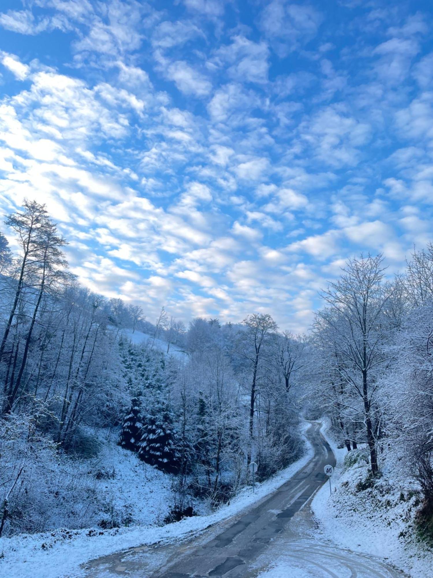 Nicehead Spacious Nest Between Maribor And Celje Loce pri Poljcanah المظهر الخارجي الصورة